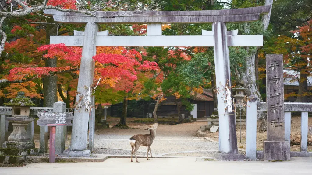 Deers in Nara