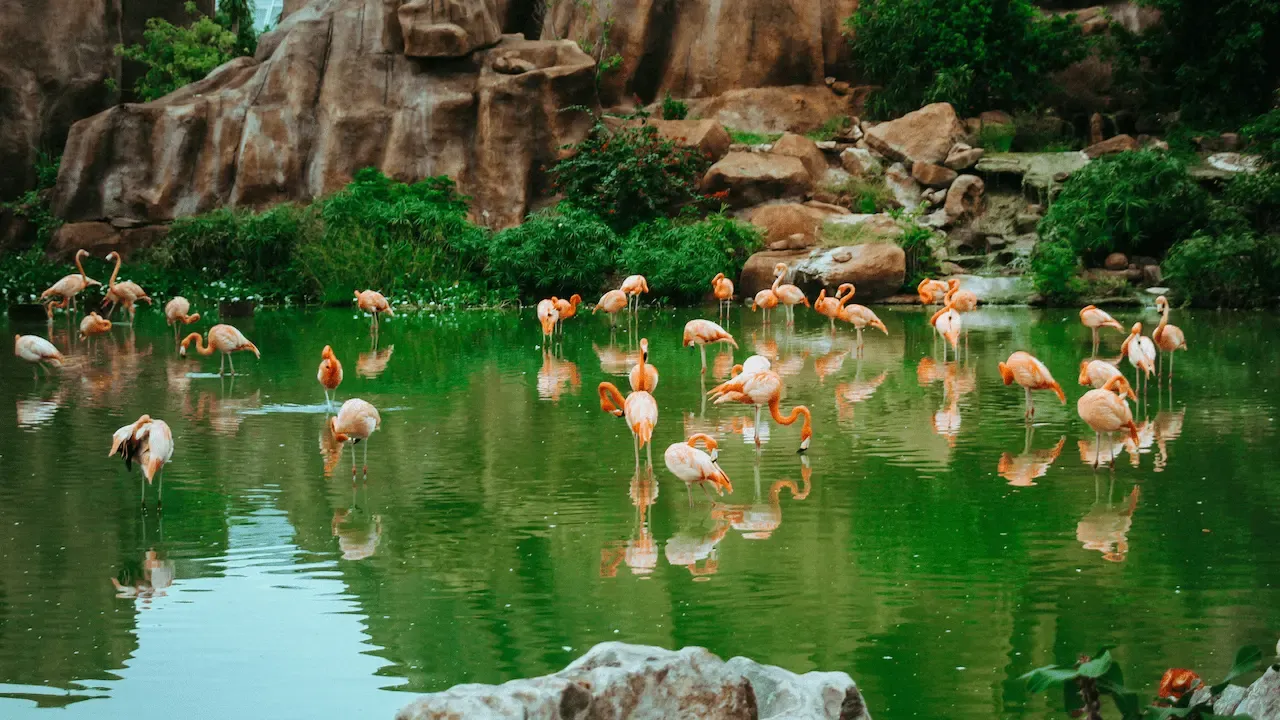 Vinpearl Park, Nha Trang, Việt Nam