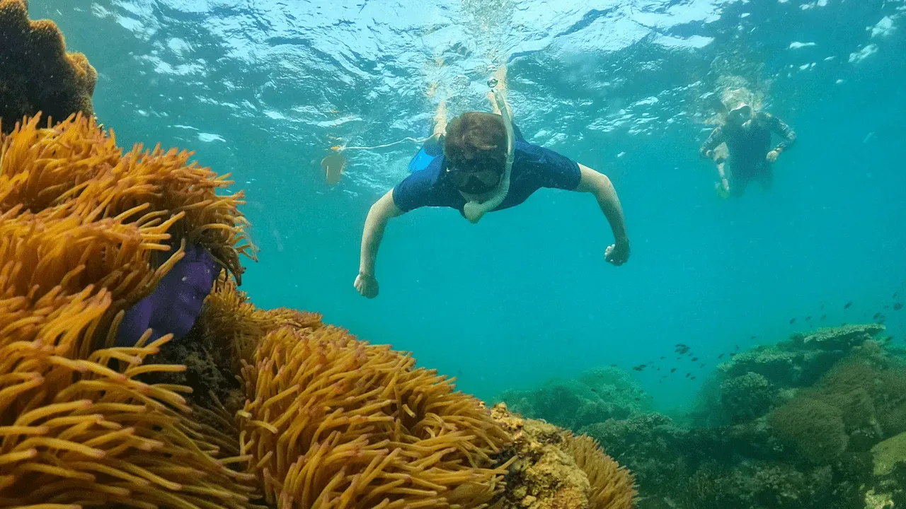 North-east Coral Reef, Phu Quoc Island