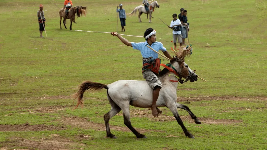 A traditional horseman performs in a lively outdoor setting.