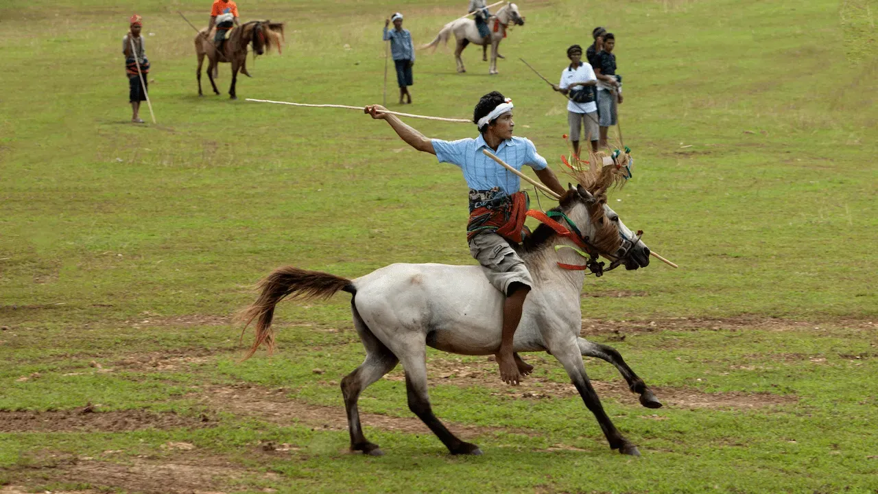 A traditional horseman performs in a lively outdoor setting.