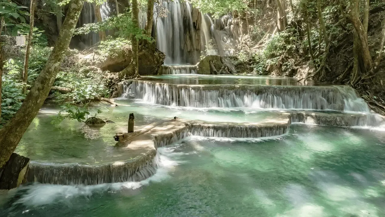 A waterfall in the middle of a forest.