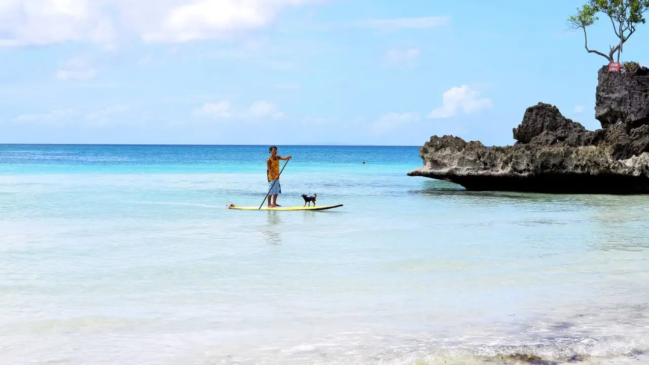 Man on a stand up paddle board with dog boracay philippines