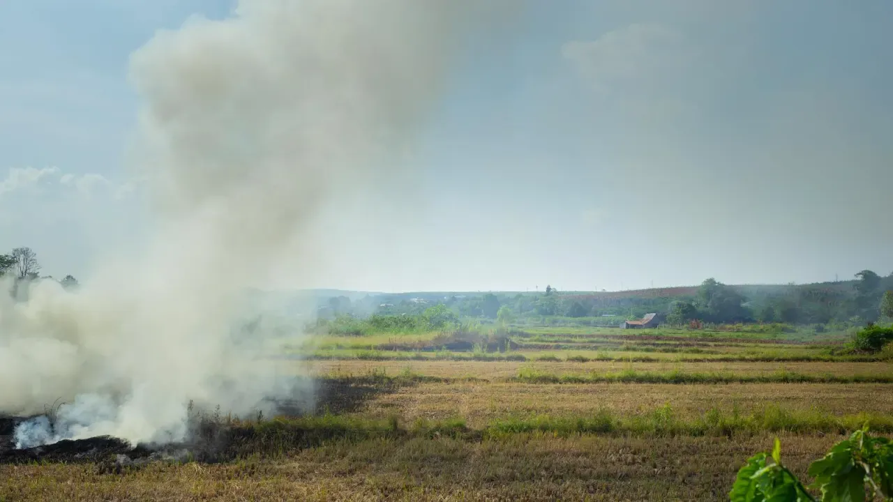 farmers burning crops in chiang mai