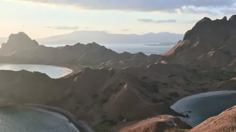 Komodo