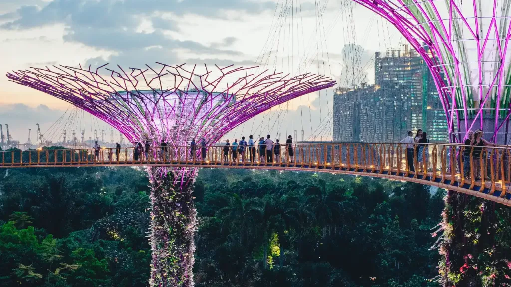 people doing a canopy walk at the supertree grove